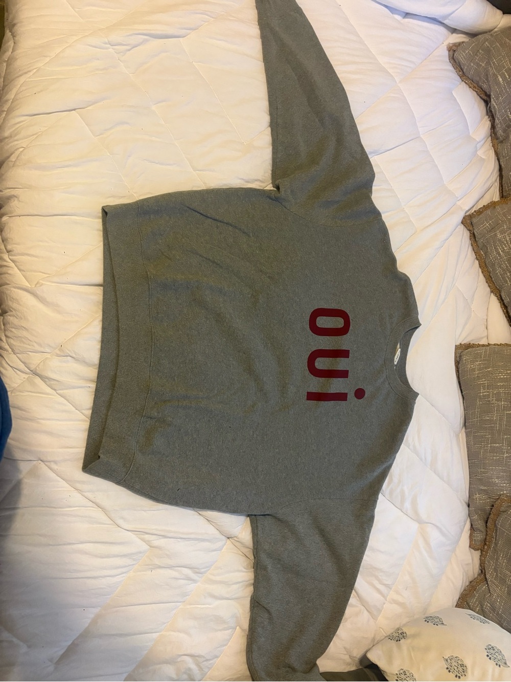 NWOT Gray Crewneck Sweatshirt with Maroon 'oui' Graphic